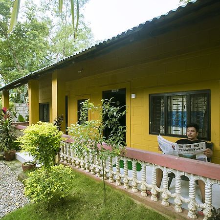 Sauraha Nana Hotel Esterno foto