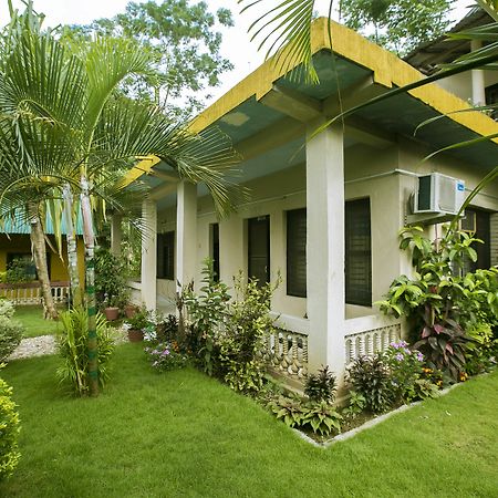 Sauraha Nana Hotel Esterno foto